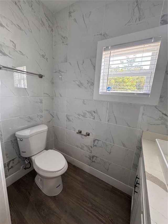 bathroom with wood-type flooring, vanity, and toilet