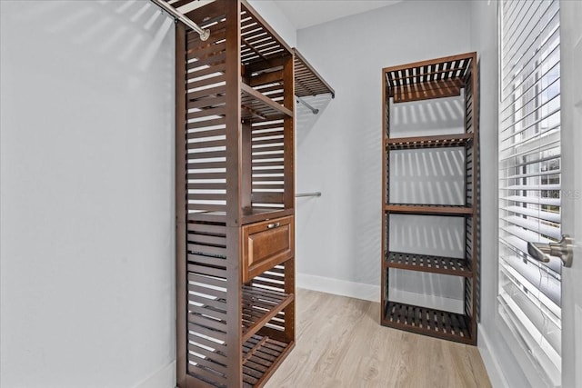 spacious closet featuring wood finished floors