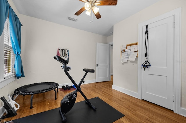 exercise area featuring ceiling fan and wood-type flooring