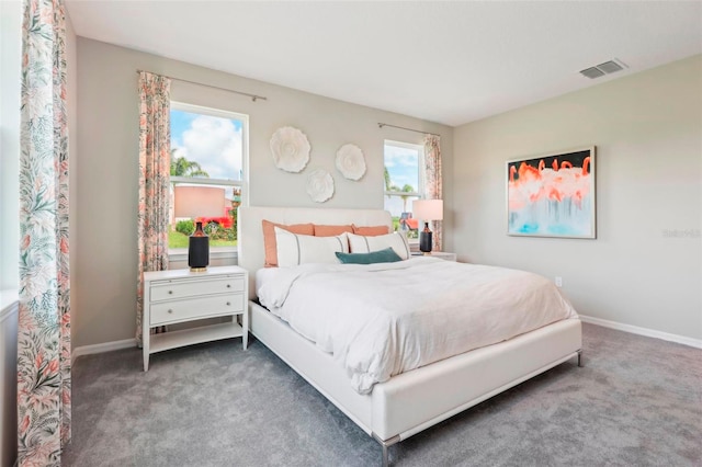 carpeted bedroom with multiple windows