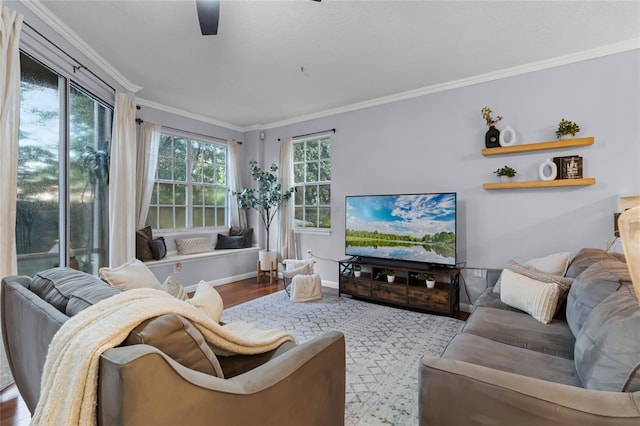 living room featuring wood-type flooring, a healthy amount of sunlight, and crown molding