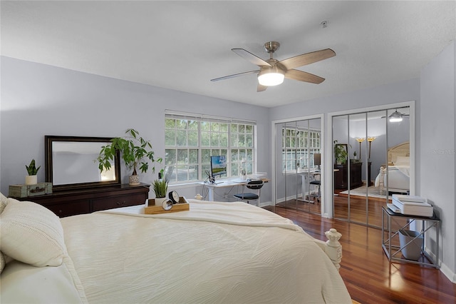 bedroom featuring dark hardwood / wood-style flooring, two closets, and ceiling fan