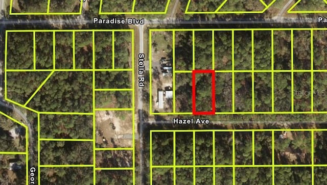 104 Hazel Ave, Georgetown FL, 32139 land for sale