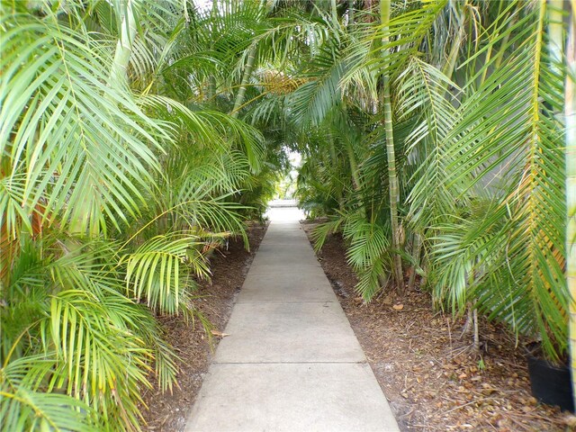 903 Pinellas Bayway S Unit 302, Tierra Verde, FL 33715 - photo 48