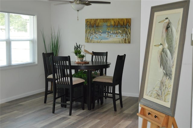 dining room with ceiling fan, a wealth of natural light, and wood-type flooring