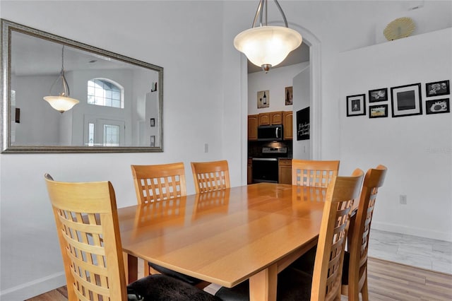 dining room with light hardwood / wood-style flooring