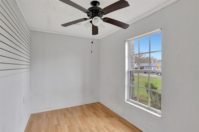1053 E Hancock Dr, Deltona, FL 32725 - empty room featuring plenty of natural light, light wood finished floors, a ceiling fan, and ornamental molding