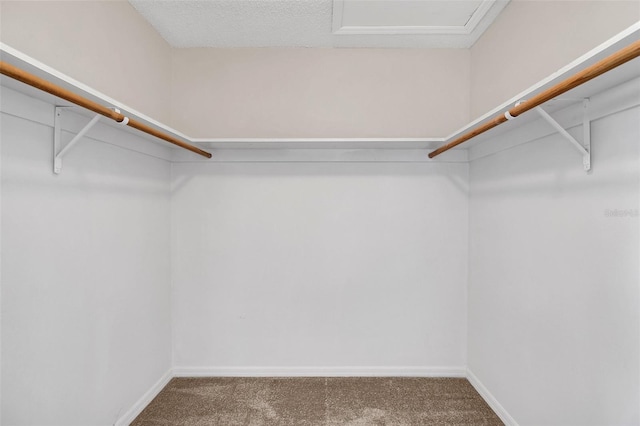 spacious closet with carpet floors