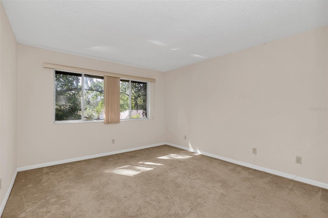 empty room featuring carpet flooring and a textured ceiling