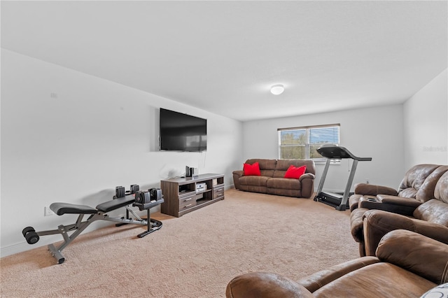 living room with carpet