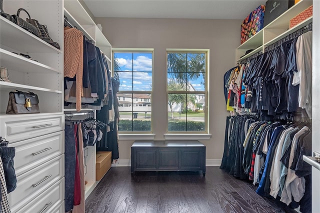 walk in closet with dark hardwood / wood-style flooring