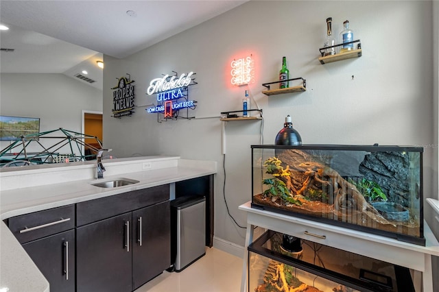 interior space with sink and lofted ceiling