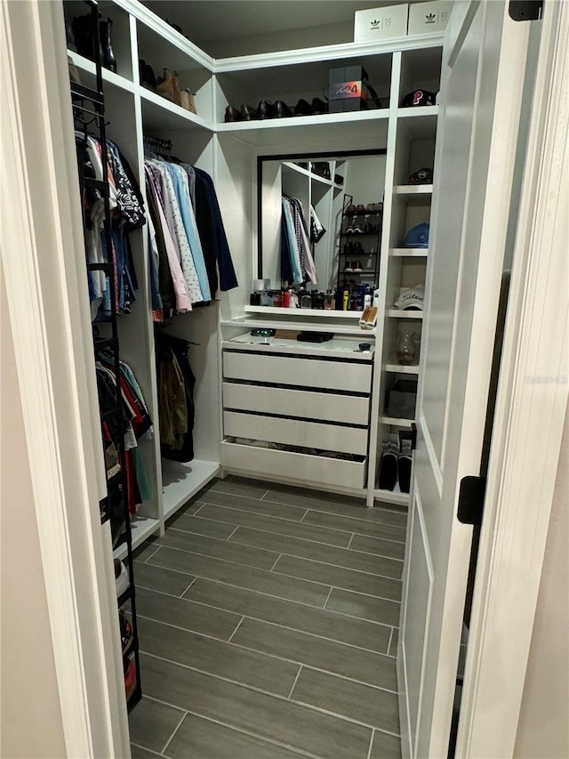 view of spacious closet