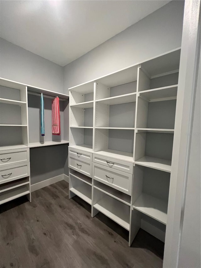 spacious closet with dark hardwood / wood-style flooring