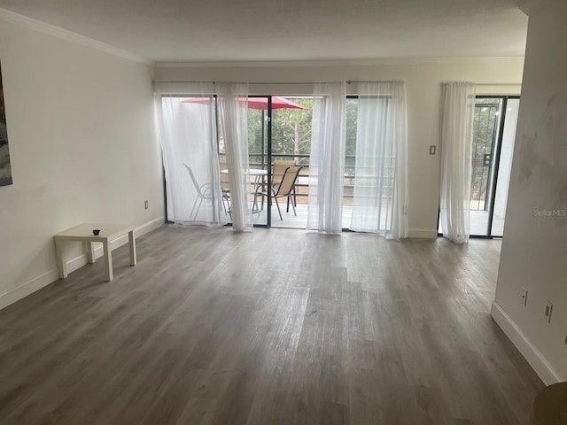 empty room with dark hardwood / wood-style floors and crown molding