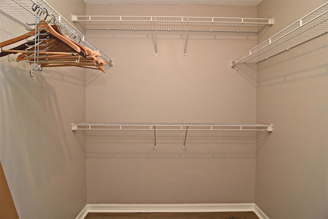 view of spacious closet