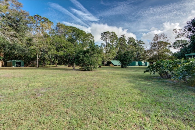 view of yard featuring a storage unit