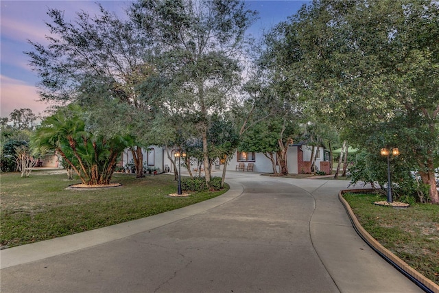 view of property hidden behind natural elements featuring a lawn