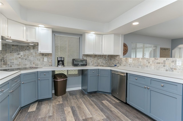 kitchen featuring white cabinetry, stainless steel dishwasher, tasteful backsplash, and dark wood-type flooring