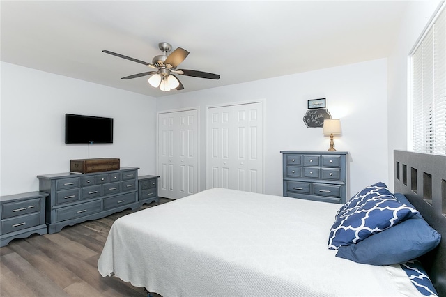 bedroom featuring ceiling fan, dark wood-type flooring, and multiple closets