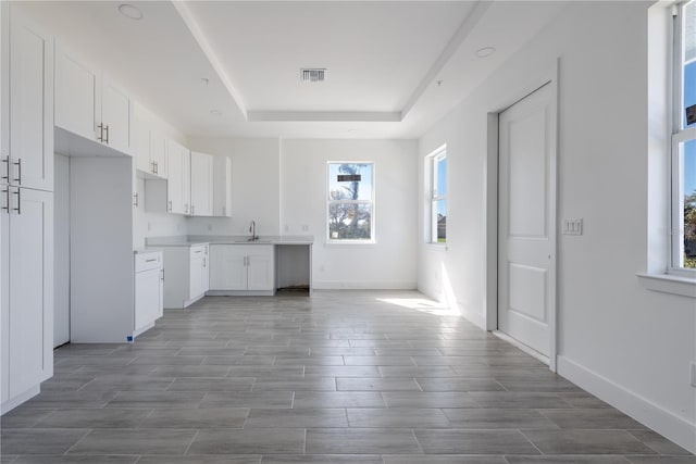 kitchen featuring white cabinets, sink, and a tray ceiling