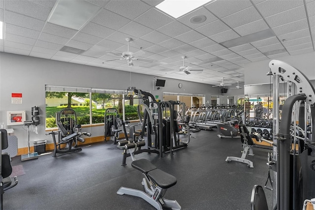 gym with a paneled ceiling and ceiling fan