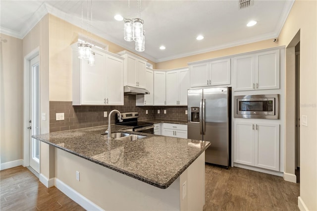 kitchen with under cabinet range hood, dark stone counters, a peninsula, stainless steel appliances, and a sink