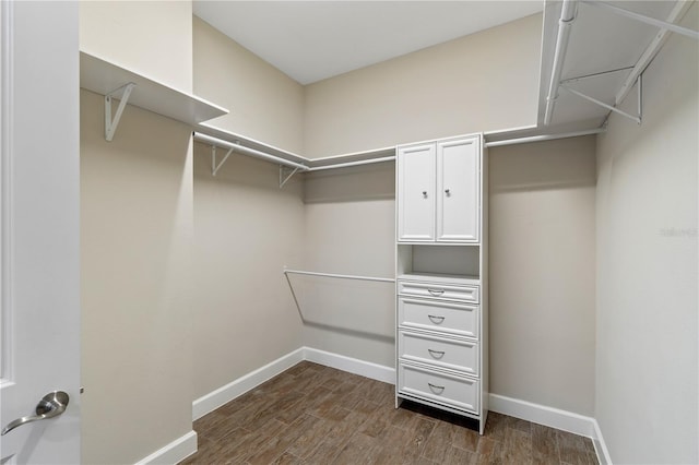 walk in closet with dark wood-style floors