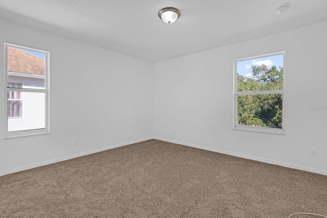 carpeted spare room with a wealth of natural light