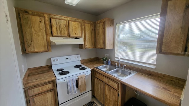 kitchen with white electric range and sink