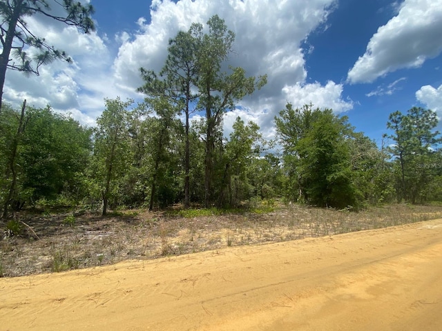 Mae St, Interlachen FL, 32148 land for sale