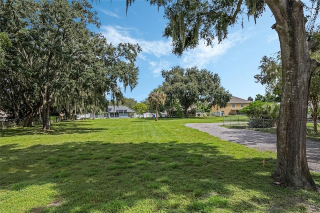 view of community with a lawn