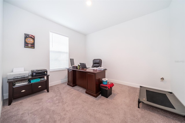 office area featuring light carpet