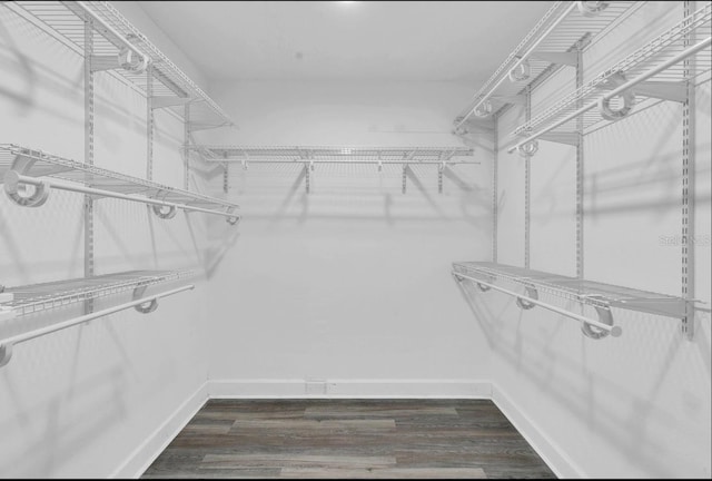 spacious closet with dark hardwood / wood-style flooring