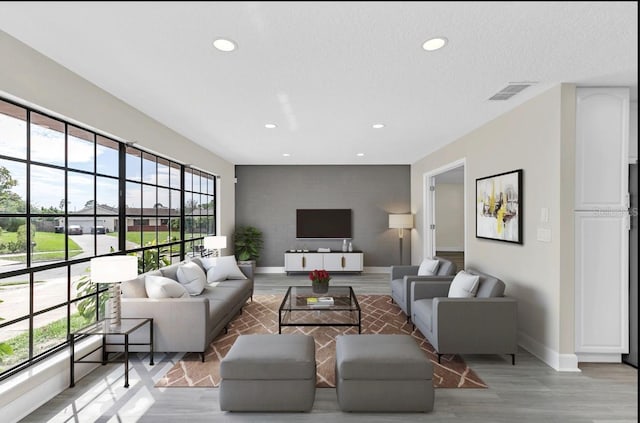 living room with a textured ceiling, light hardwood / wood-style flooring, and a wealth of natural light