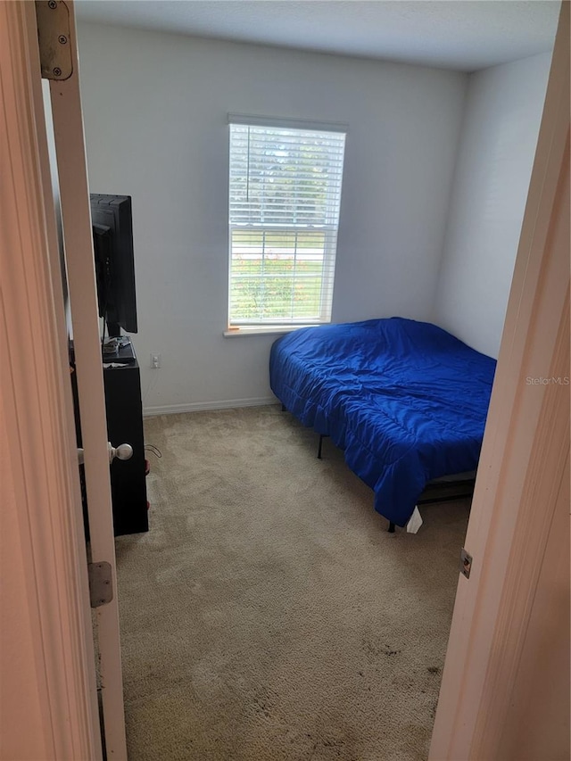 bedroom with carpet floors