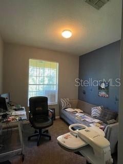 view of carpeted home office