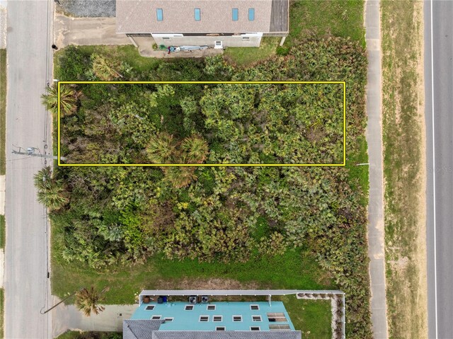 2014 N Central Ave, Flagler Beach FL, 32136 land for sale