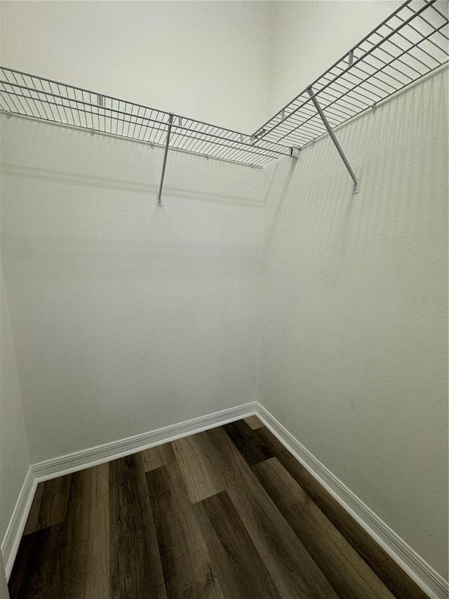 walk in closet featuring wood-type flooring