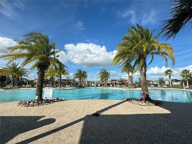 view of swimming pool featuring a patio