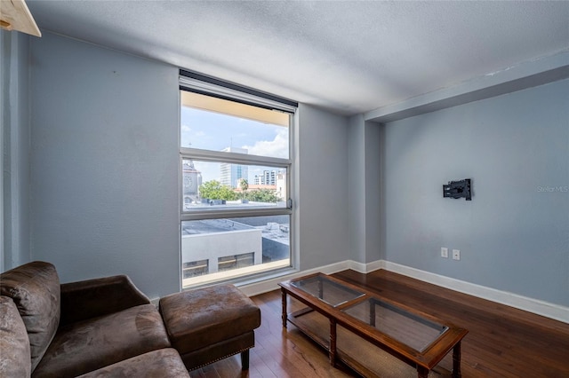 living room with wood-type flooring and a textured ceiling