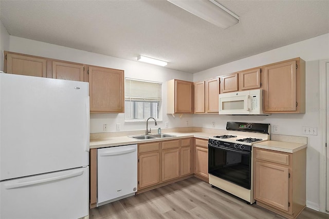 kitchen featuring sink, light brown cabinets, a textured ceiling, white appliances, and light hardwood / wood-style flooring