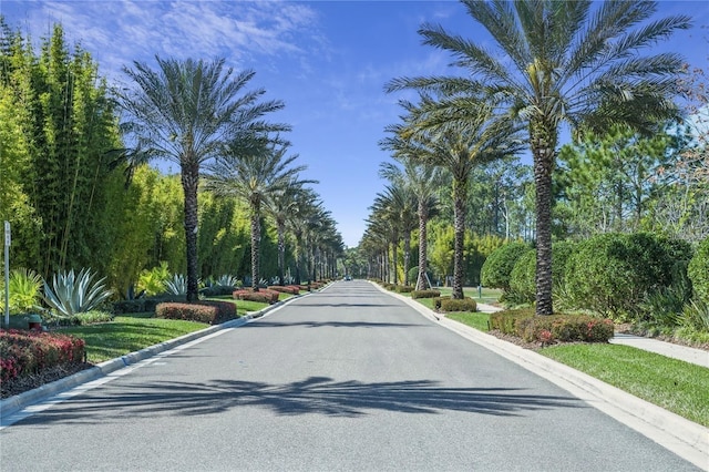 view of street