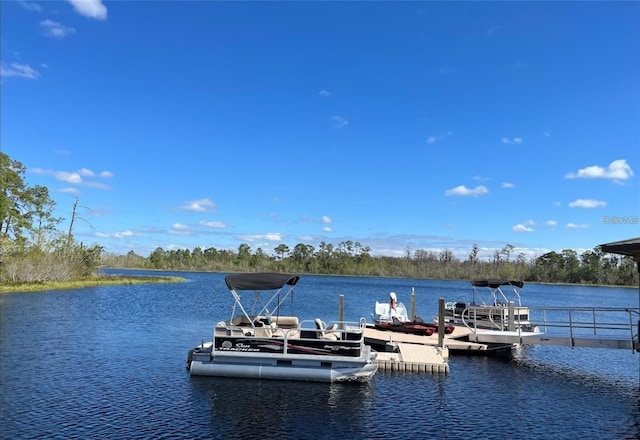 view of dock featuring a water view