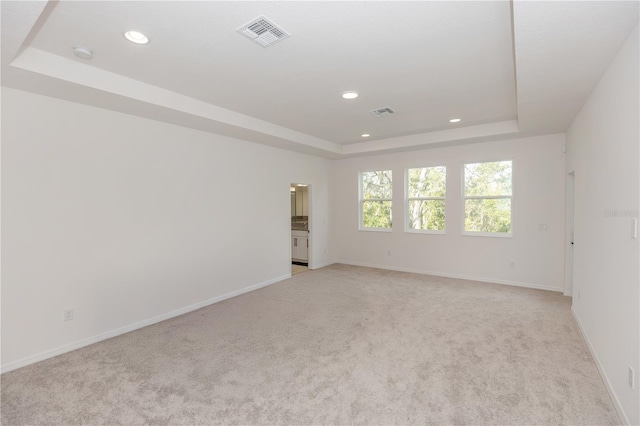 spare room with light carpet and a raised ceiling