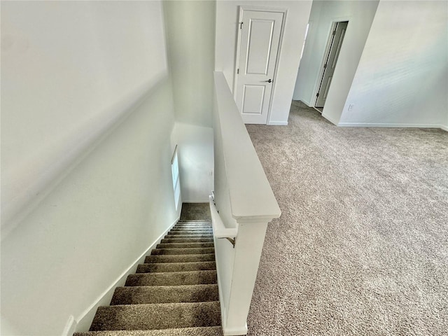 stairs with carpet floors