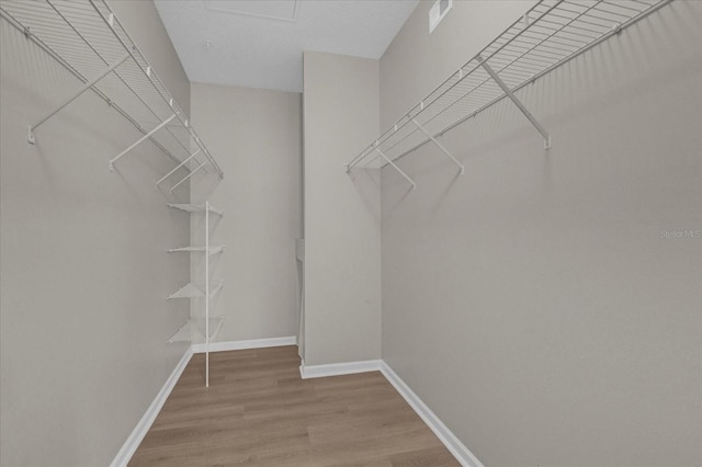 walk in closet with light wood-style floors and visible vents