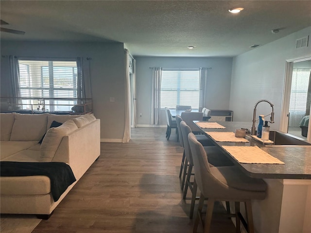 dining space featuring dark wood-type flooring, a healthy amount of sunlight, and sink