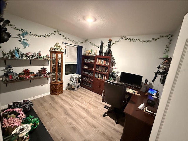 office area featuring hardwood / wood-style floors