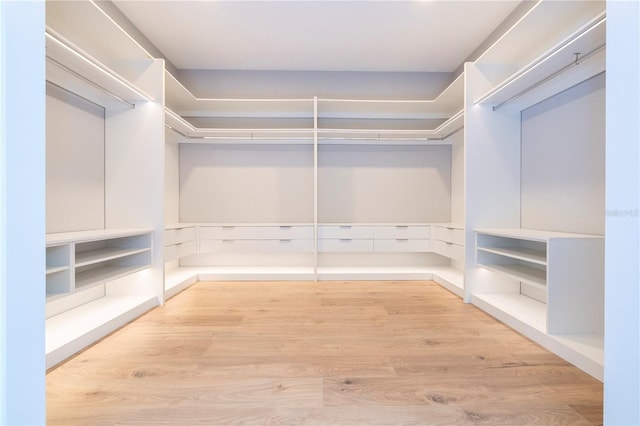 walk in closet featuring light hardwood / wood-style floors